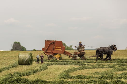 Amish Farm and House