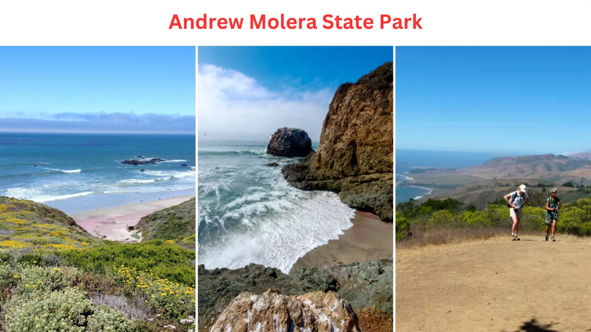 Andrew Molera State Park