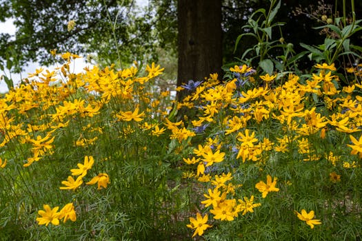 Andromeda Botanic Gardens