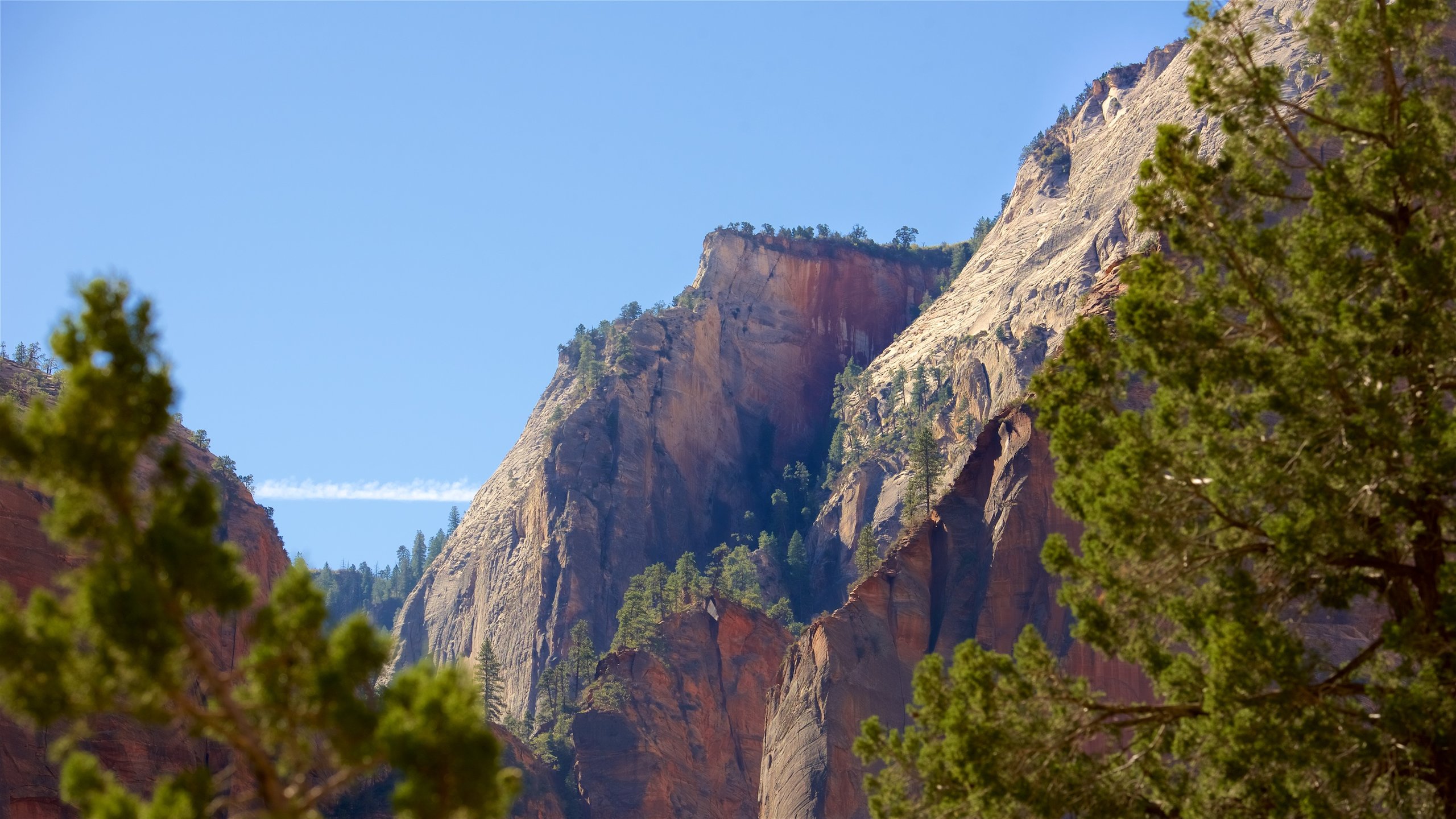 Angel's Landing