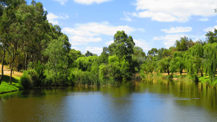 Anglesea Riverbank Market