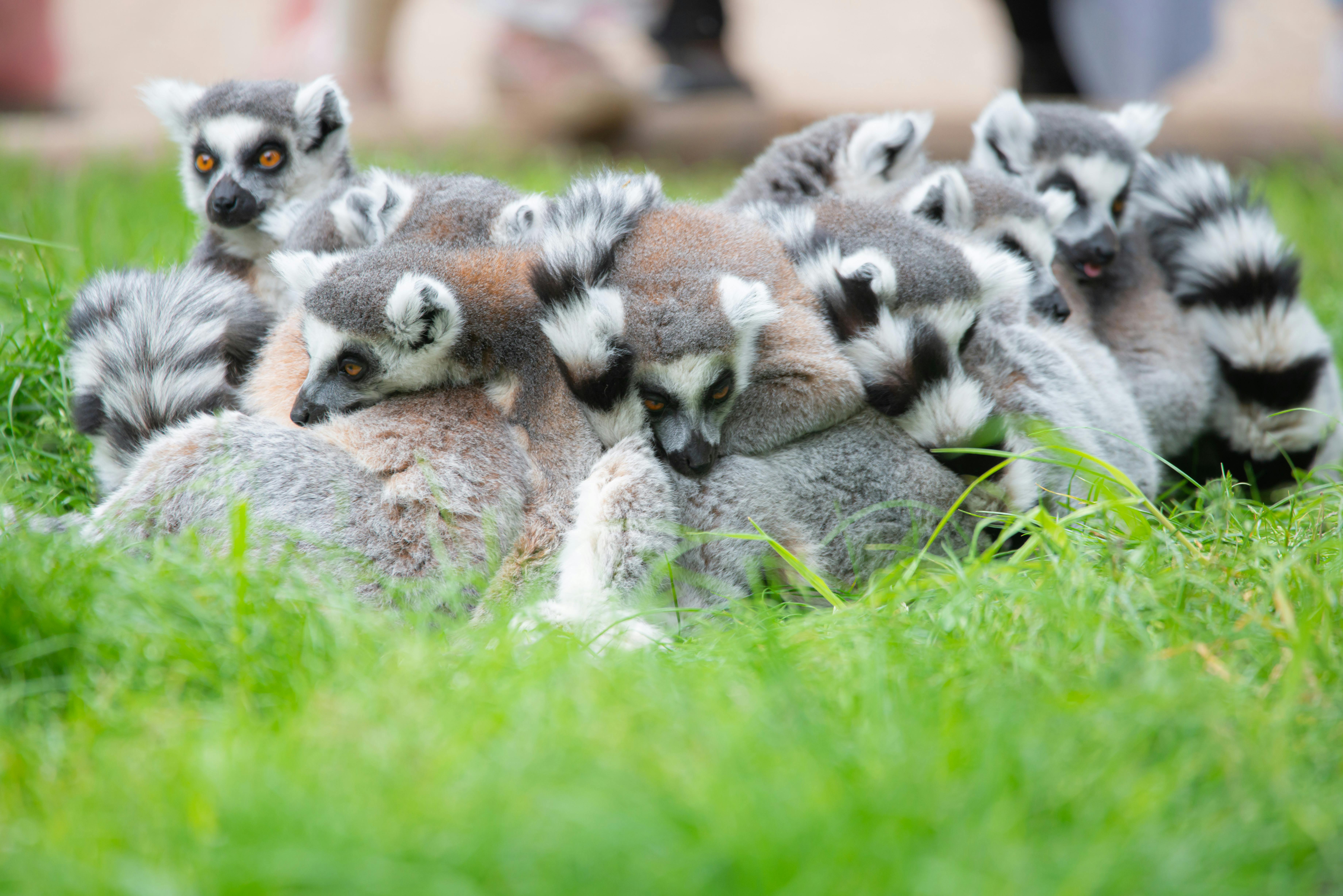 Anja Community Reserve