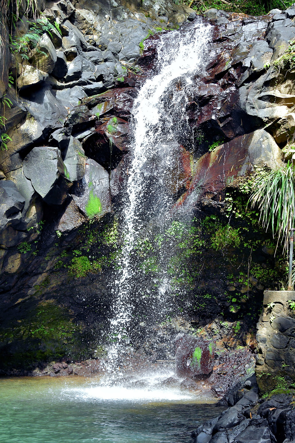 Annandale Falls