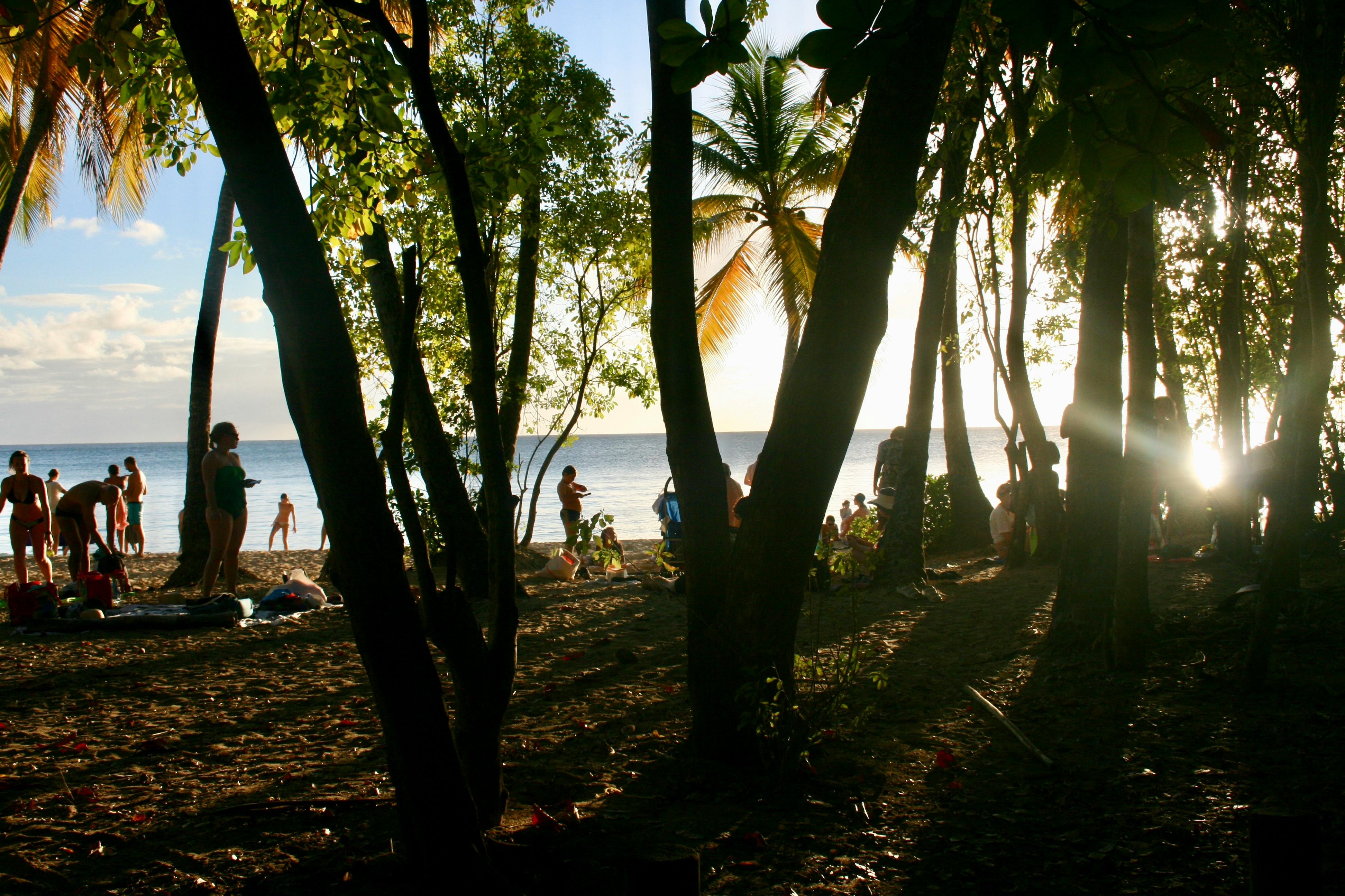 Anse Mitan Beach