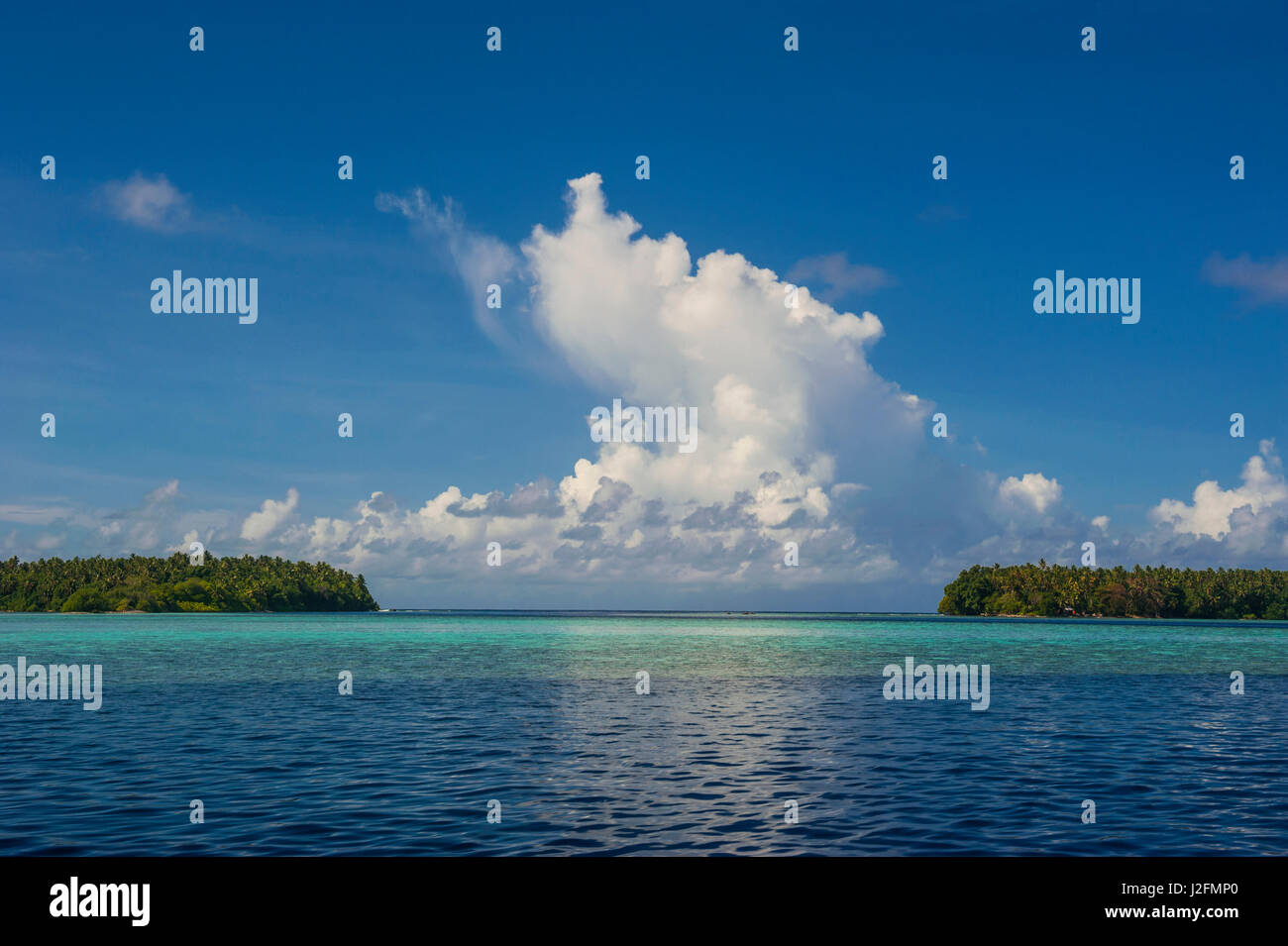 Ant Atoll