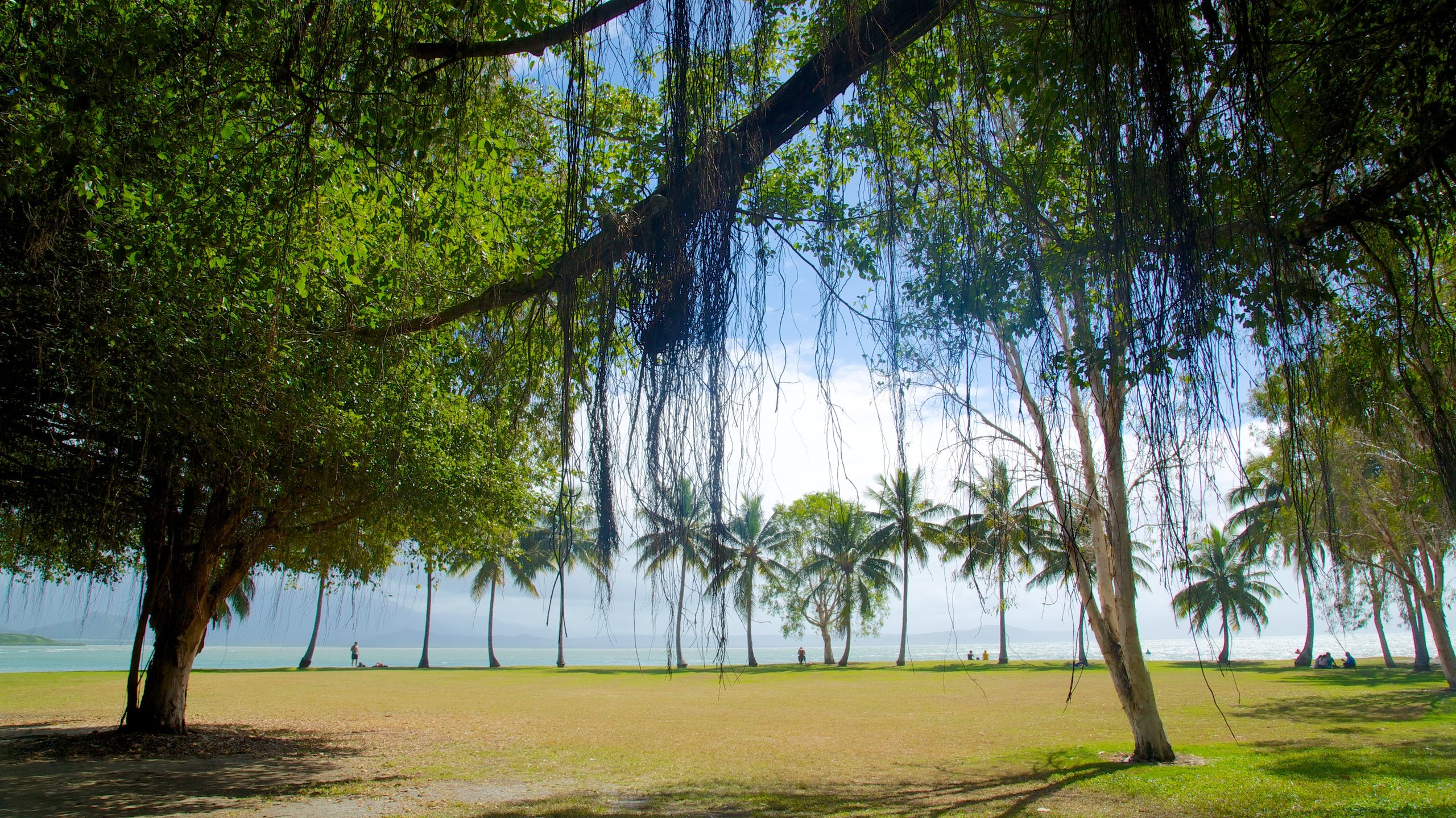 Anzac Park