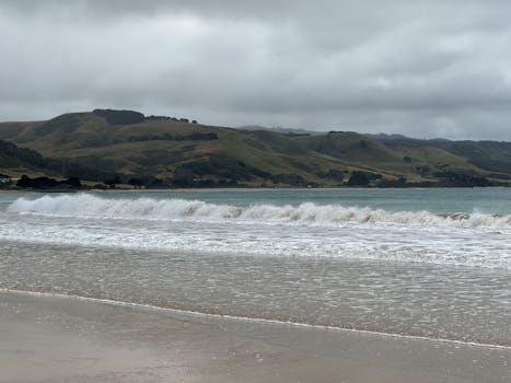 Apollo Bay Farmers Market