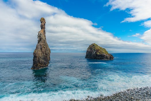 Aquario da Madeira