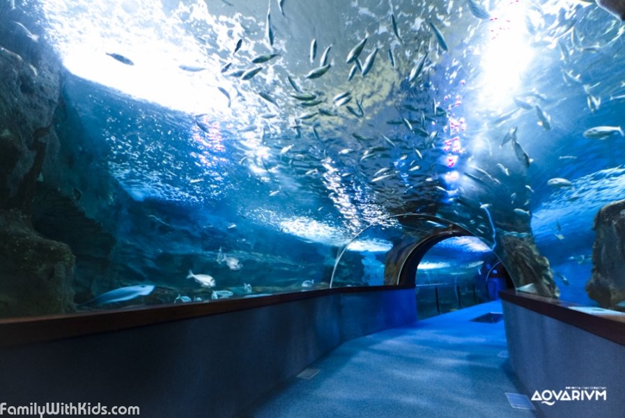 Aquarium Donostia-San Sebastián