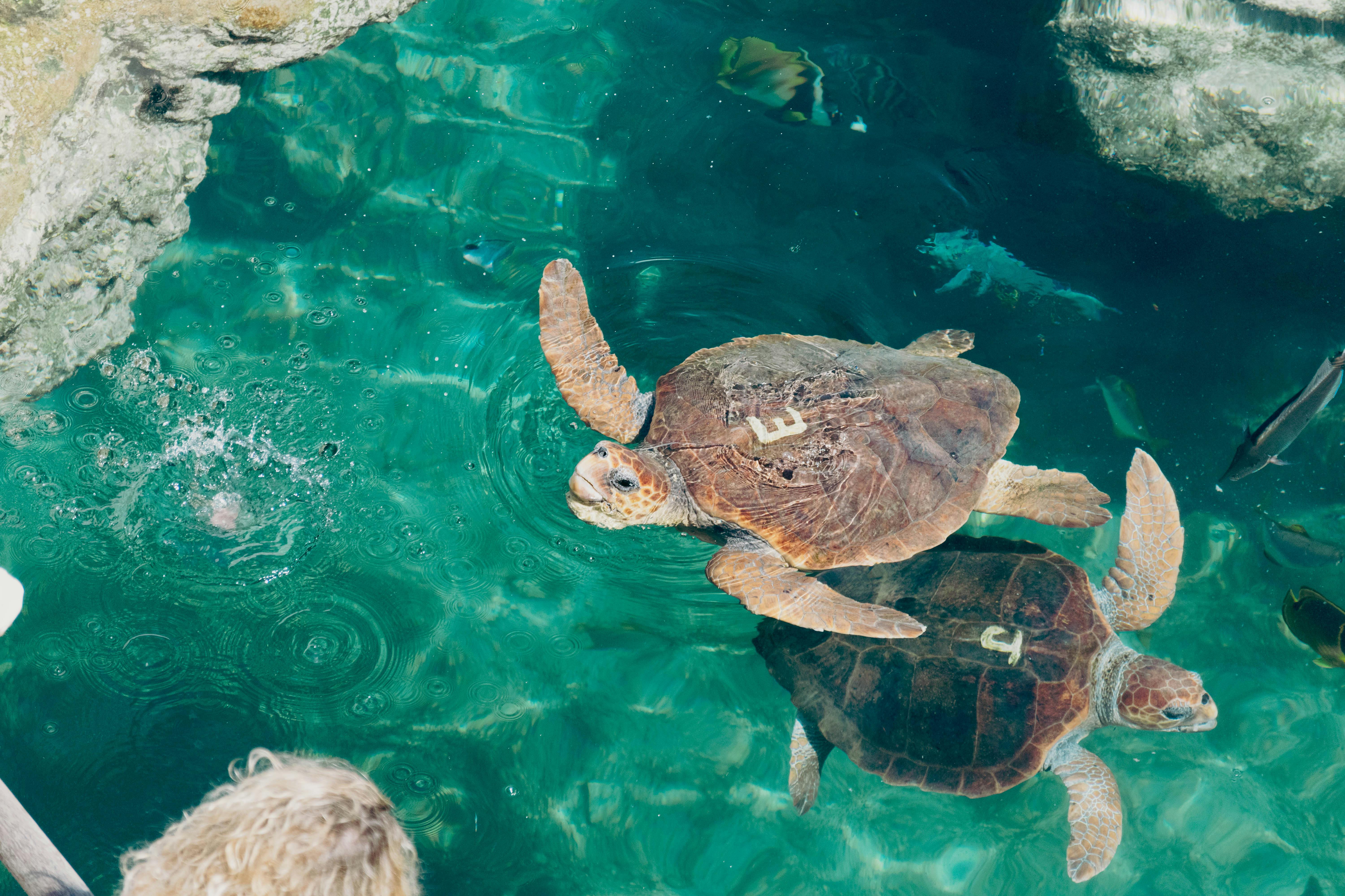 Aquarium La Rochelle