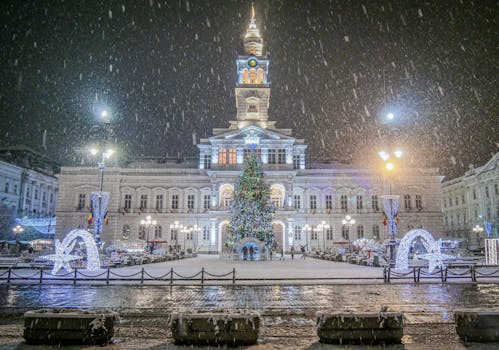 Arad Central Market