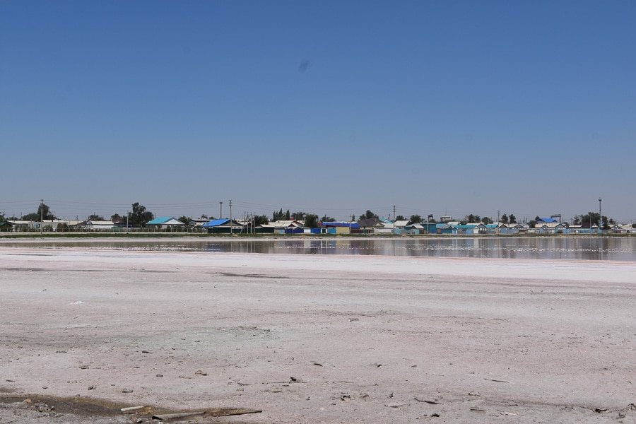 Aralsk Fish Market