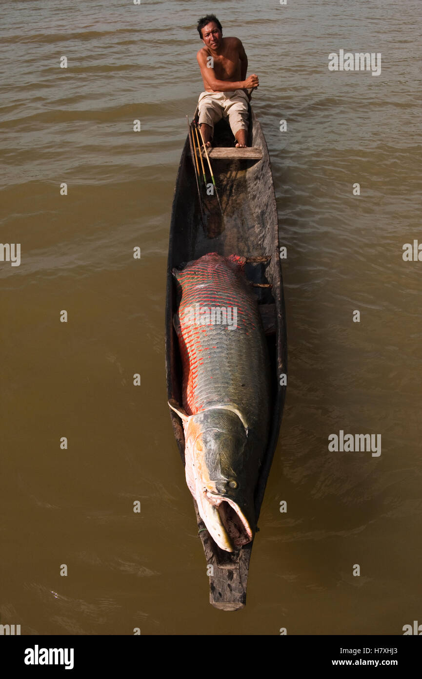 Arapaima Fishing