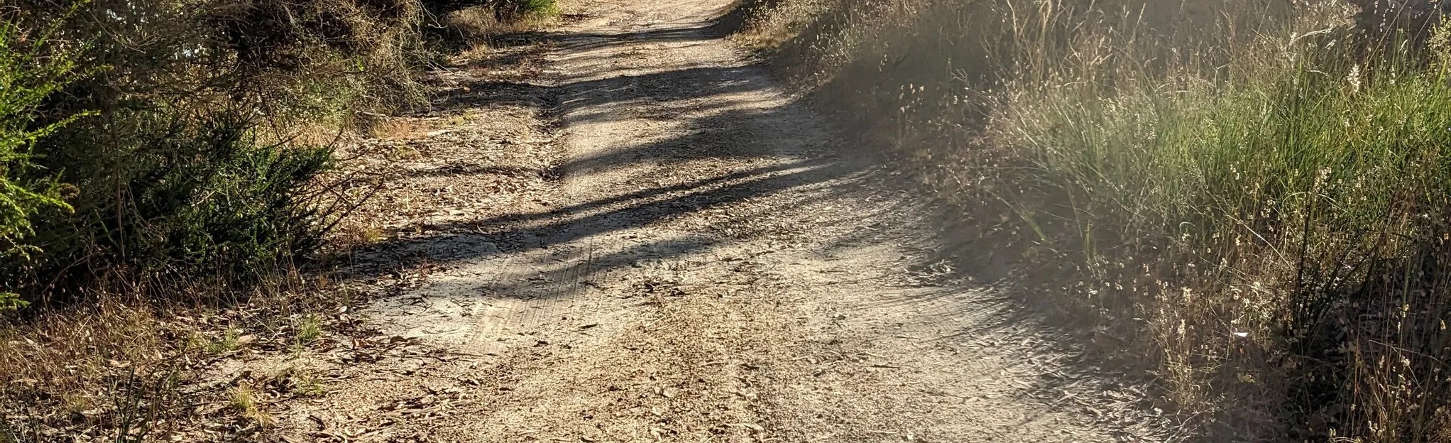 Ararat Hills Regional Park