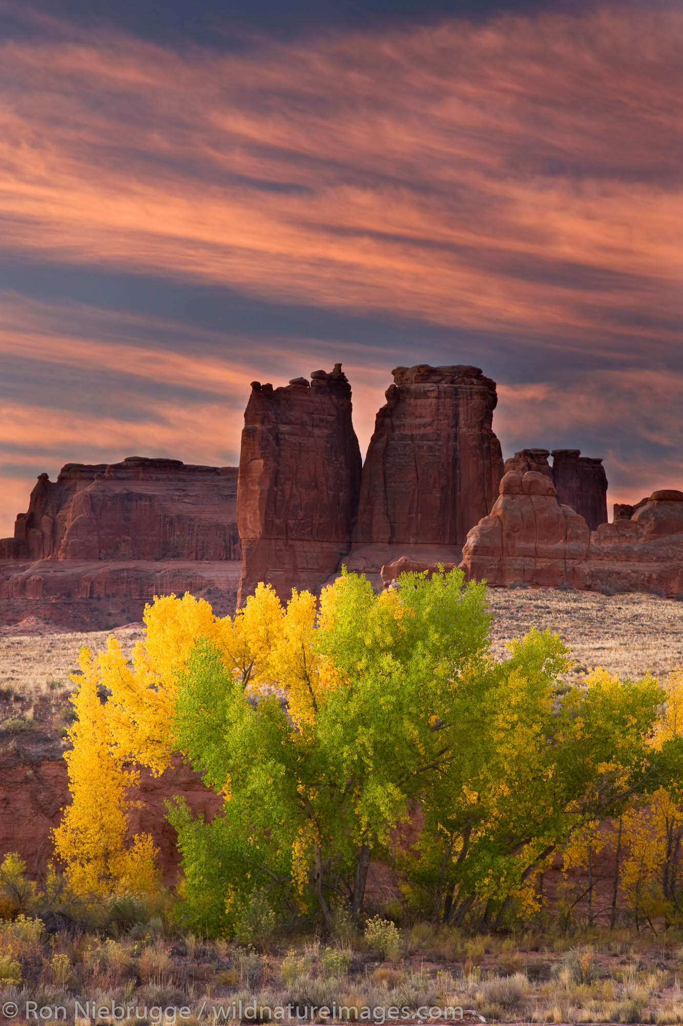 Arches National Park