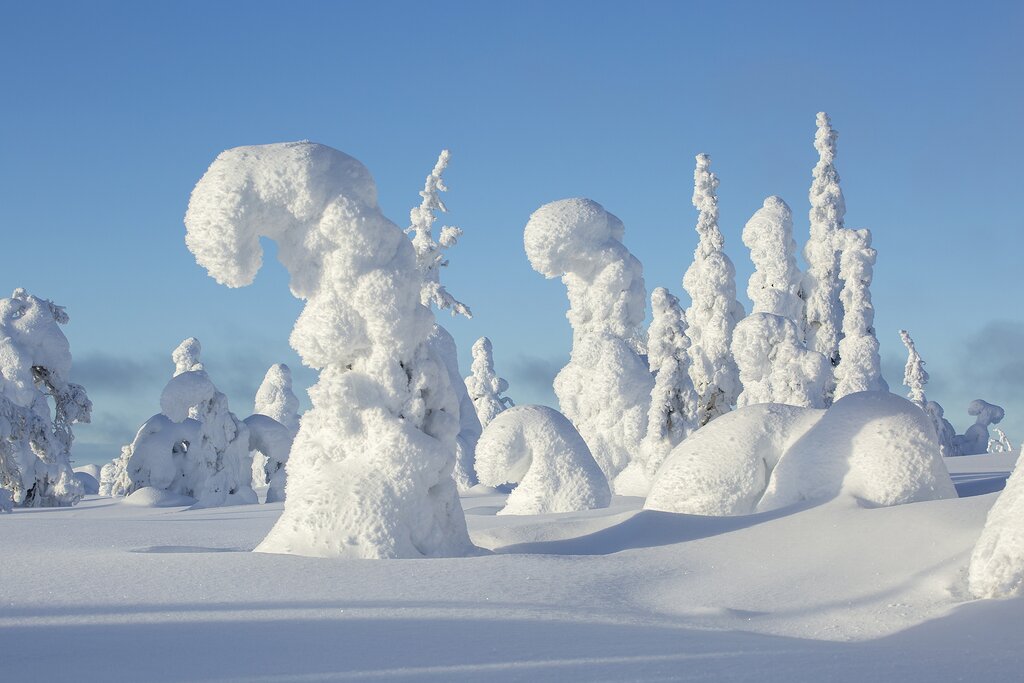 Arctic Circle Snowmobile Park