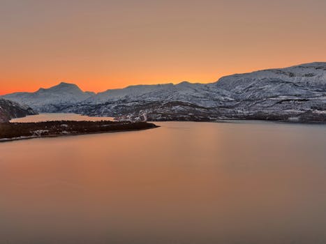 Arctic Nature