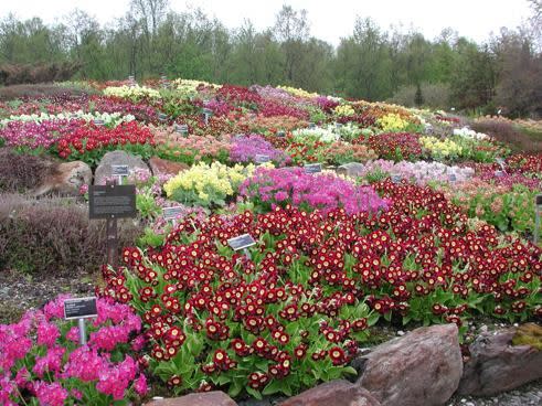 Arctic-alpine Botanic Garden