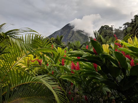 Arenal Secret Garden