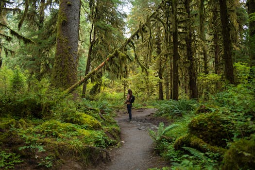 Arnold Trail to Quebec National Scenic Byway