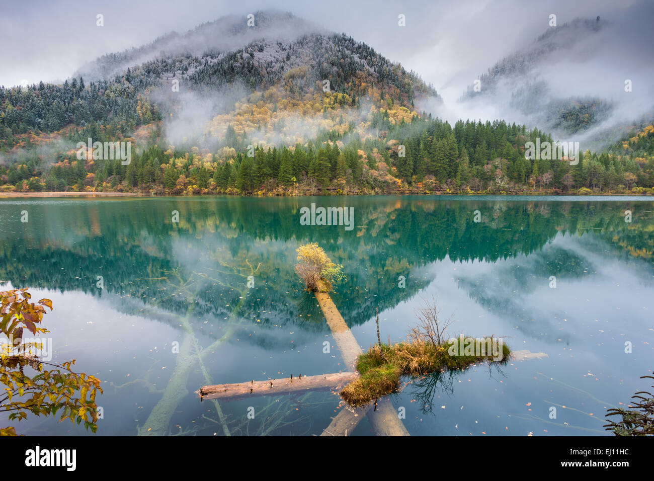 Arrow Bamboo Lake