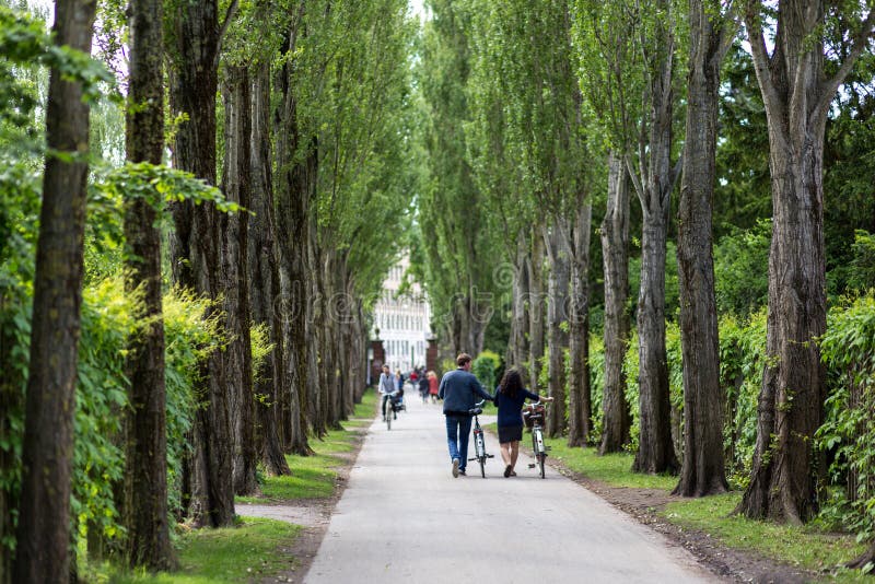 Assistens Cemetery