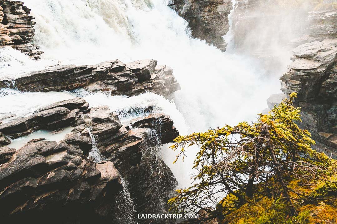 Athabasca Falls