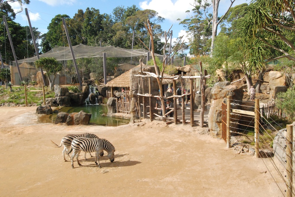 Auckland Zoo