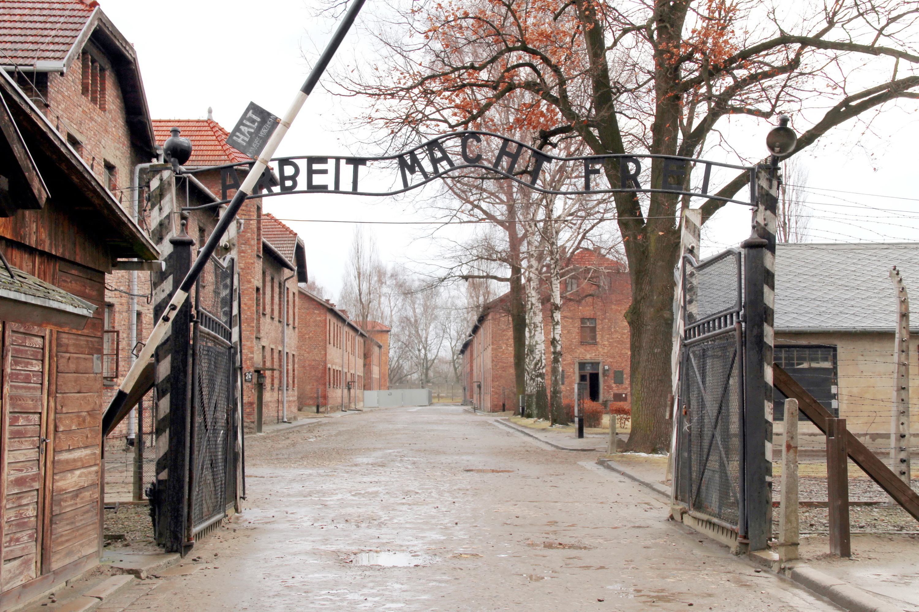 Auschwitz-Birkenau Memorial and Museum