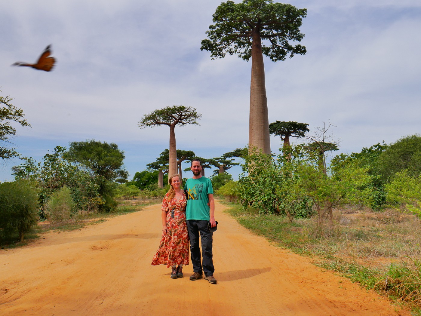 Avenue of the Baobabs