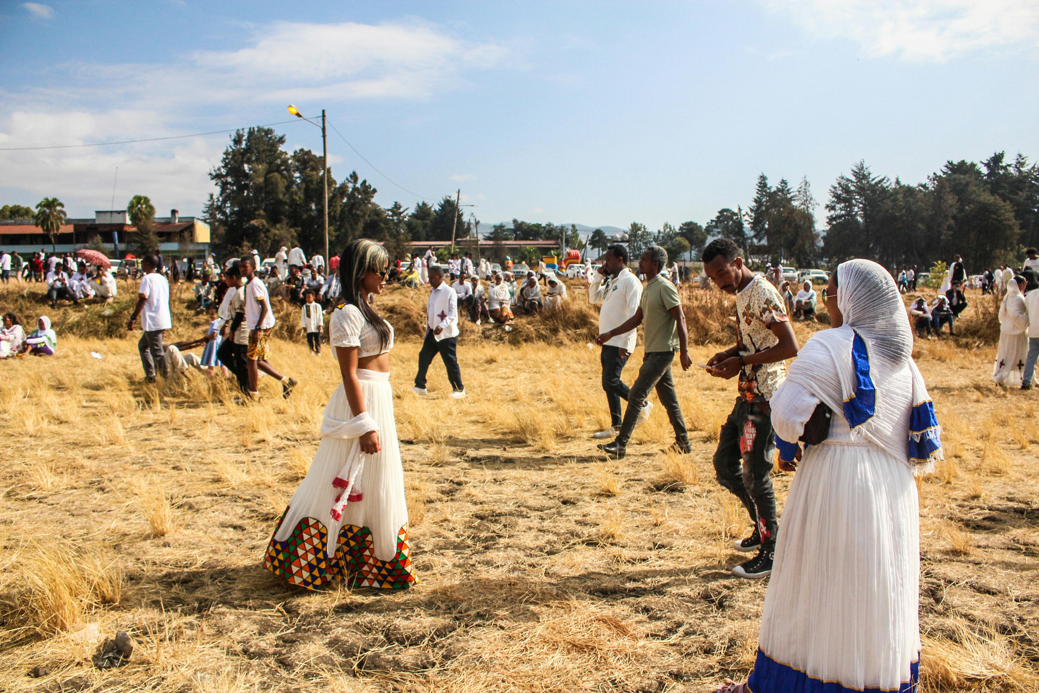 Axum Stelae Field