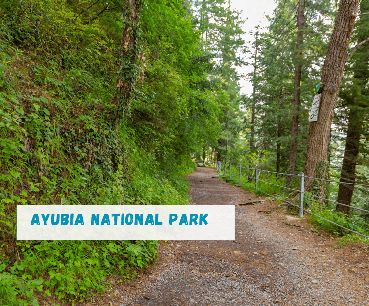 Ayubia National Park