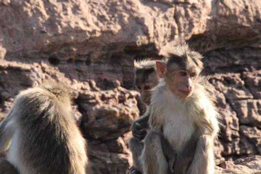 Badami Cave Temples