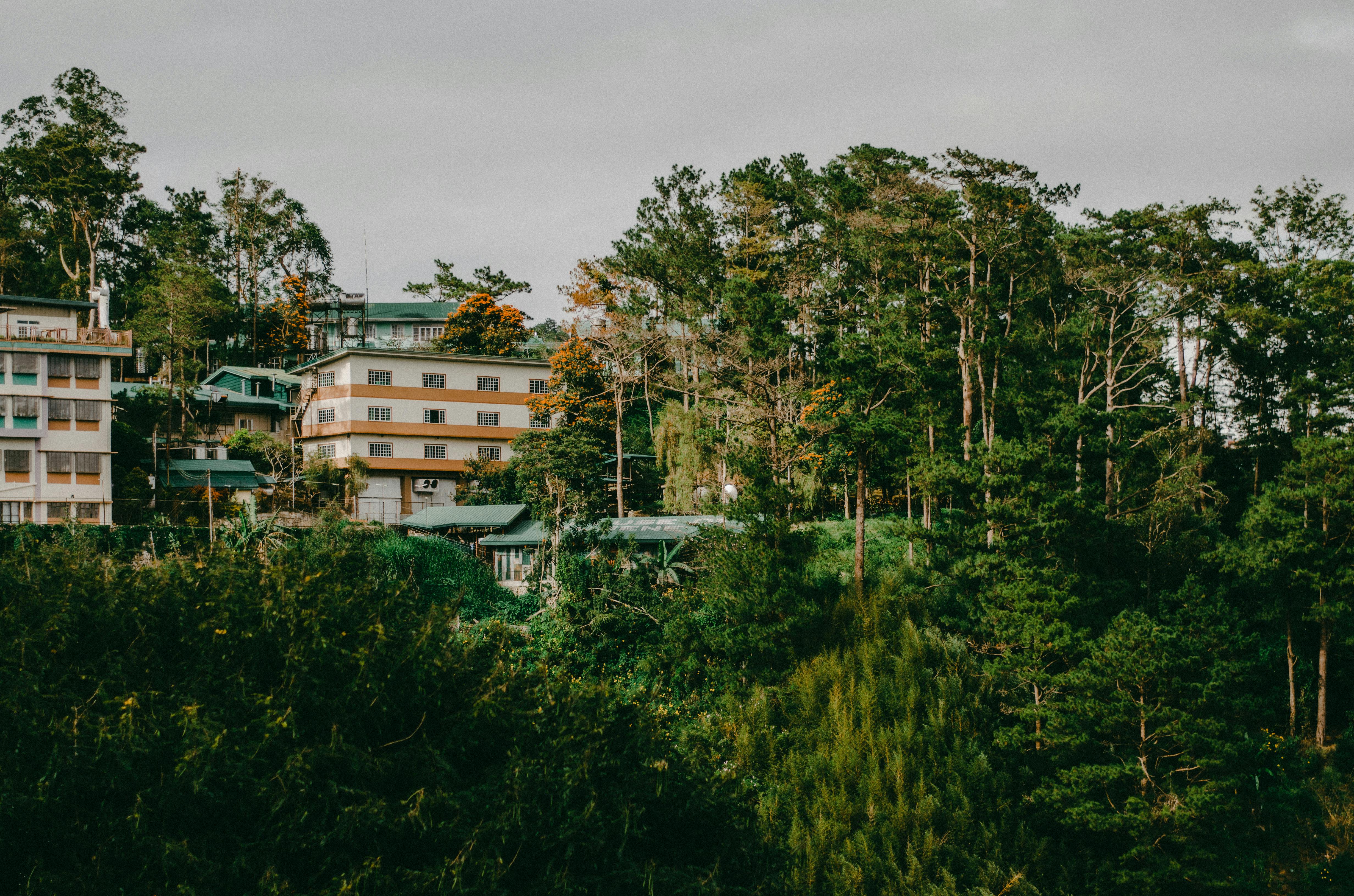 Baguio Cathedral