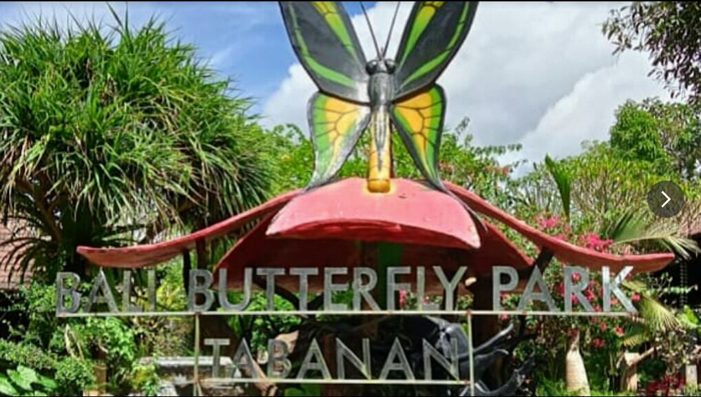 Bali Butterfly Park