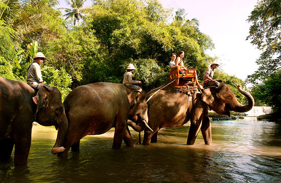 Bali Zoo