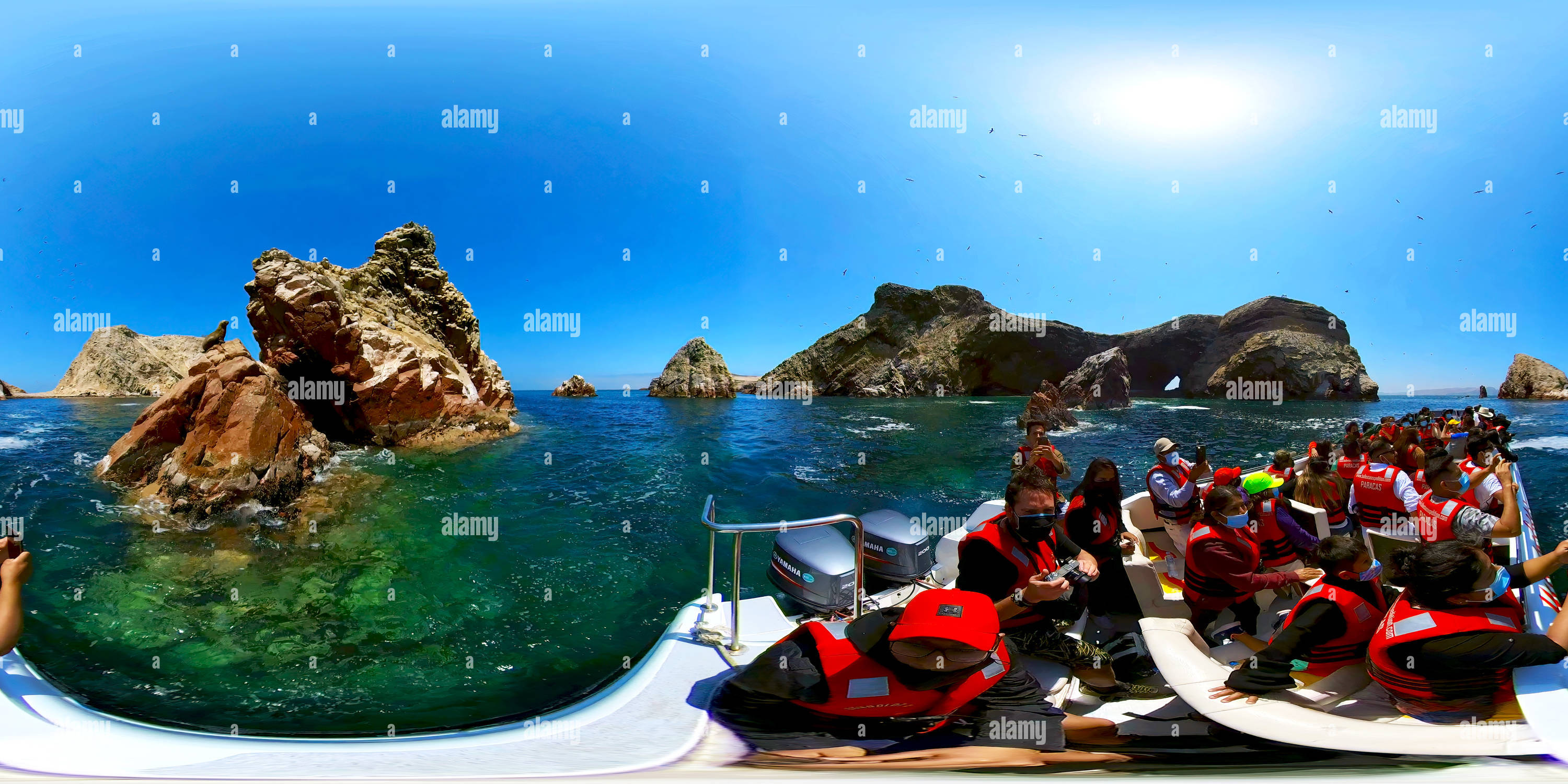 Ballestas Islands boat tour