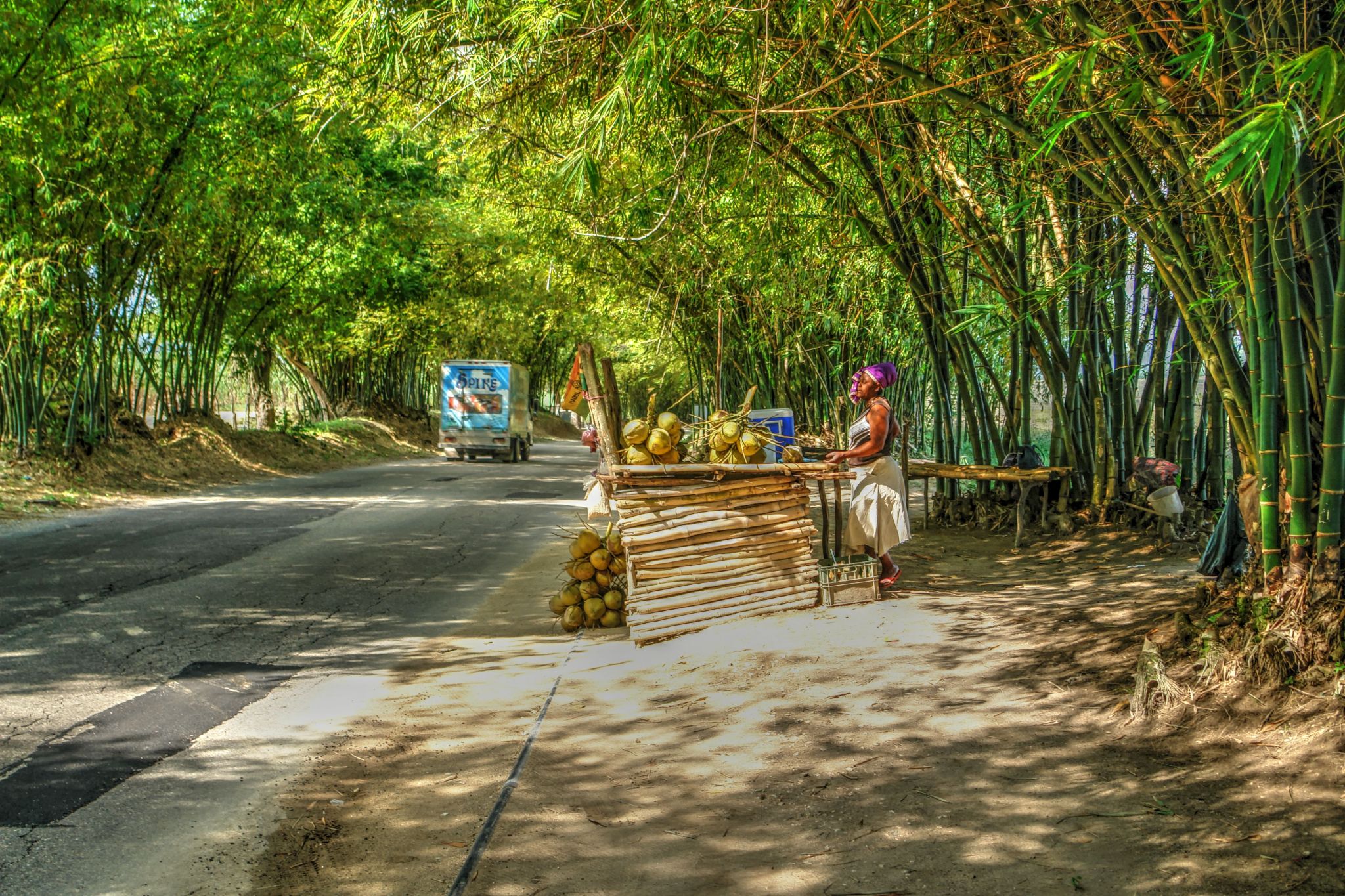 Bamboo Avenue