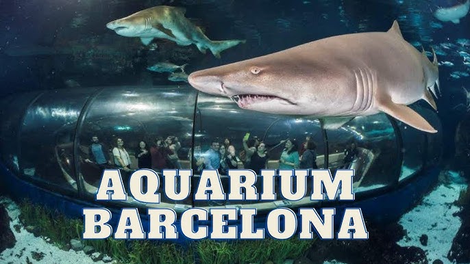 Barcelona Aquarium