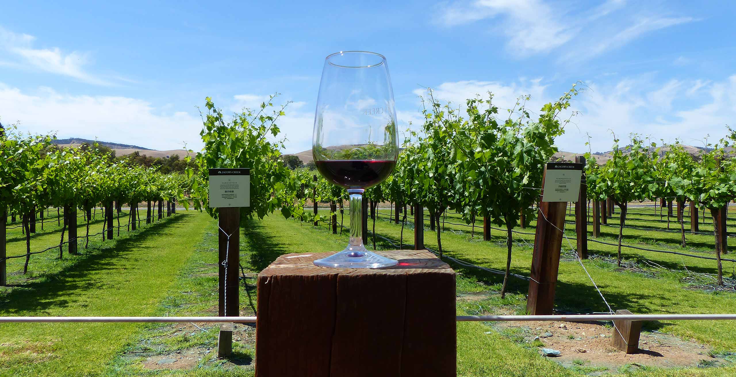 Barossa Valley Wine Tour