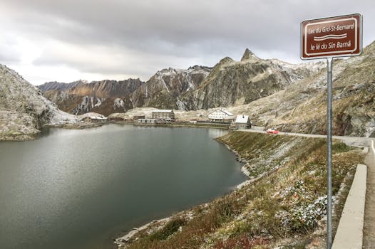 Barryland - Musée et Chiens du Saint-Bernard