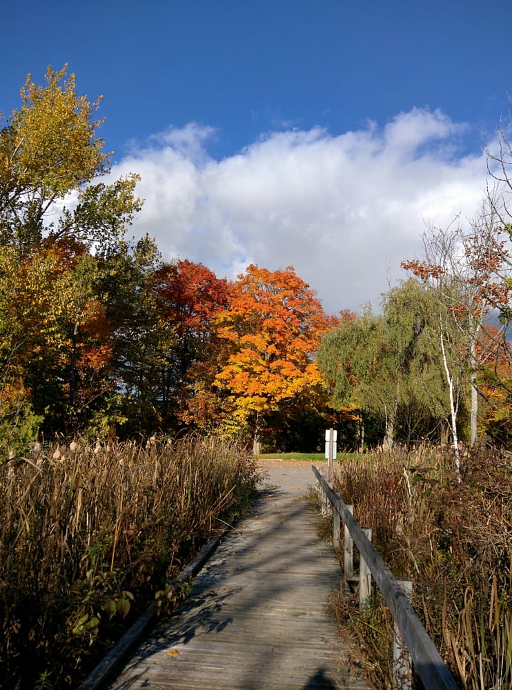 Bass Lake Provincial Park