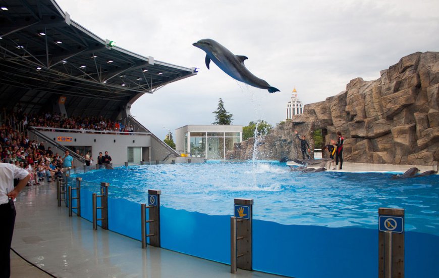 Batumi Dolphinarium