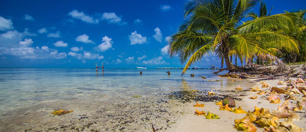 Beachcombing on South Water Caye