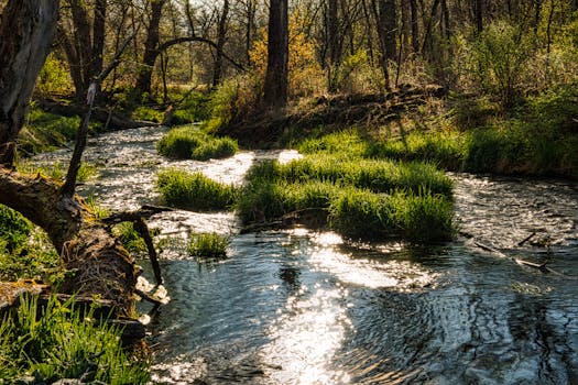 Beaver Creek Reserve