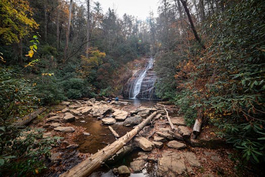 Beaverfork Lake Park