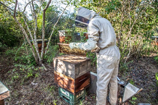 Beekeeping and Honey Production Tour