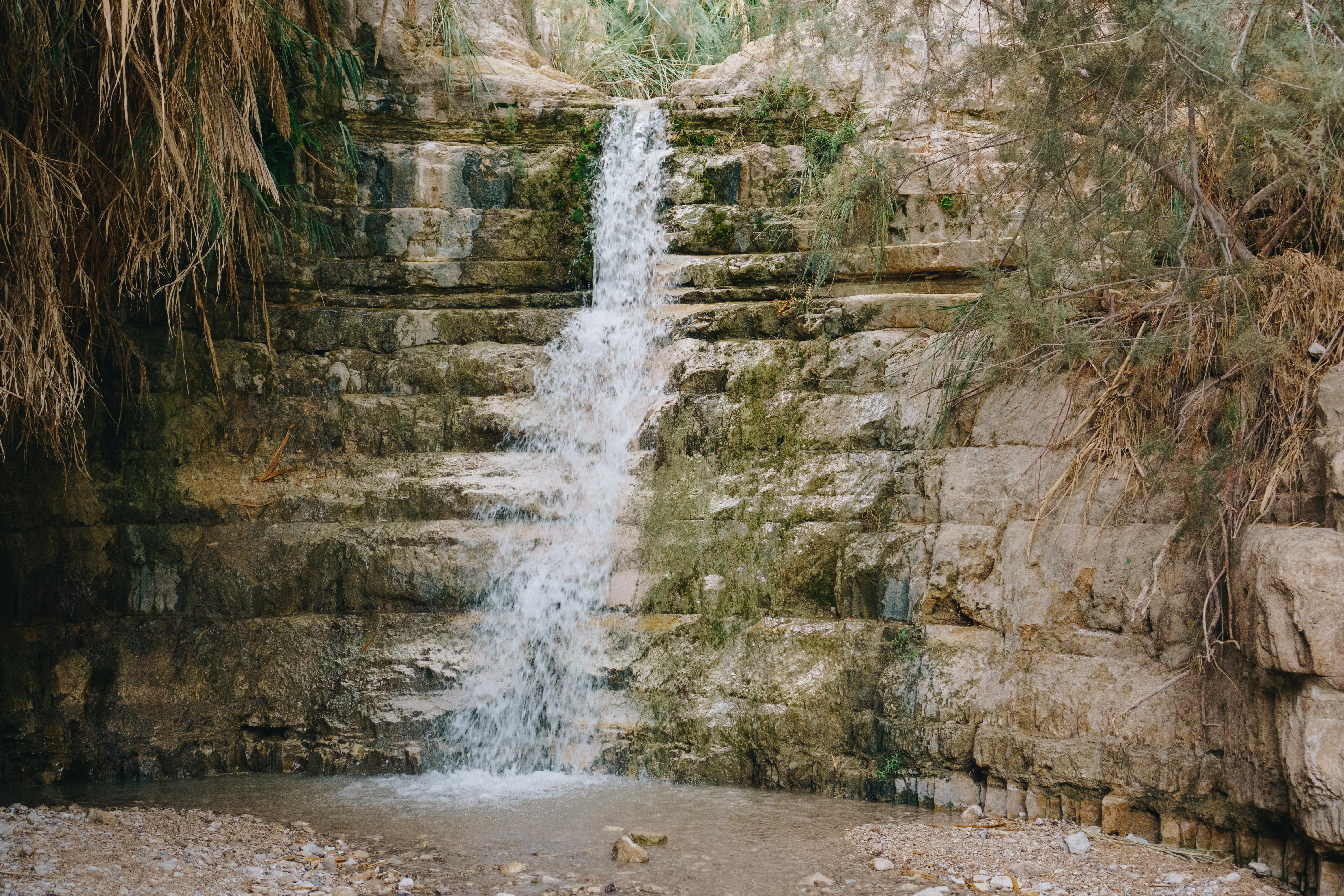 Beit She'an Botanical Reserve