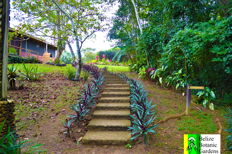 Belize Botanic Gardens