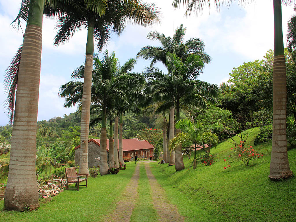 Belmont Estate